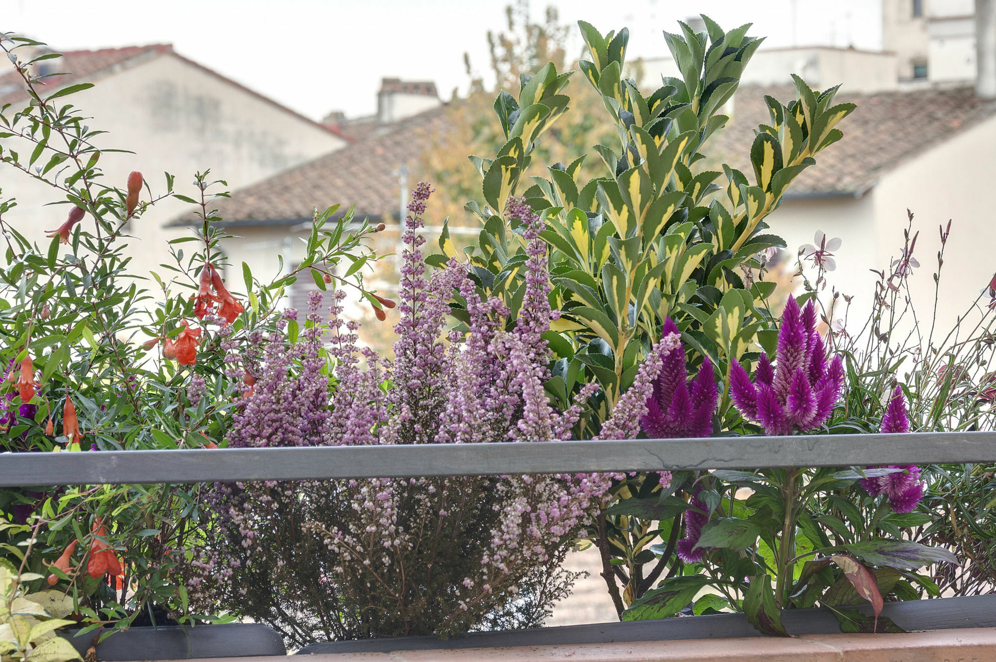 Dolce Vita Suite Firenze Eksteriør billede